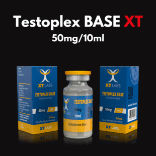 TESTO BASE 50