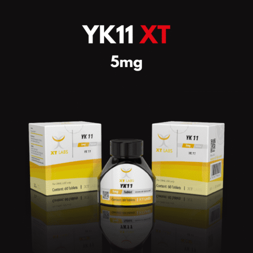 YK11